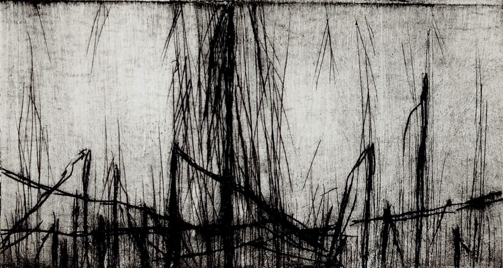 Kaltnadelradierung von Bettina Zimmermann mit abstrakten Linienstrukturen aus der Serie Rhythmus der Natur