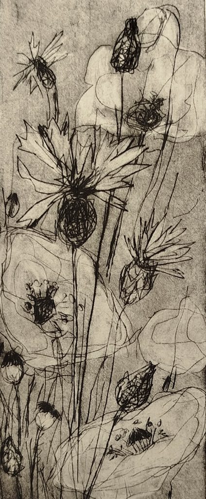 Kaltnadelradierung aus der Werkreihe Wiese, Linienstrukturen und Bewegungen des Grases als Verdichtung der Natur, 2025, Eschwege, Bettina Zimmermann.