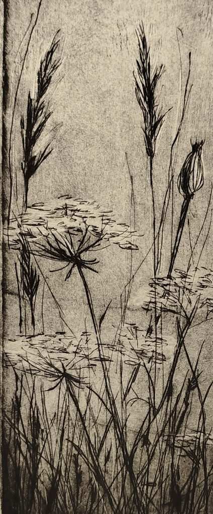 Kaltnadelradierung aus der Werkreihe Wiese, Linienstrukturen und Bewegungen des Grases als Verdichtung der Natur, 2025, Eschwege, Bettina Zimmermann.