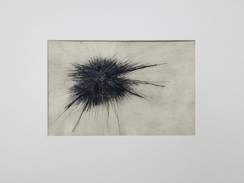 Formkerne, Serie experimenteller Kaltnadelarbeiten von Bettina Zimmermann mit verdichteten schwarzen Linienfeldern auf hellem Grund.