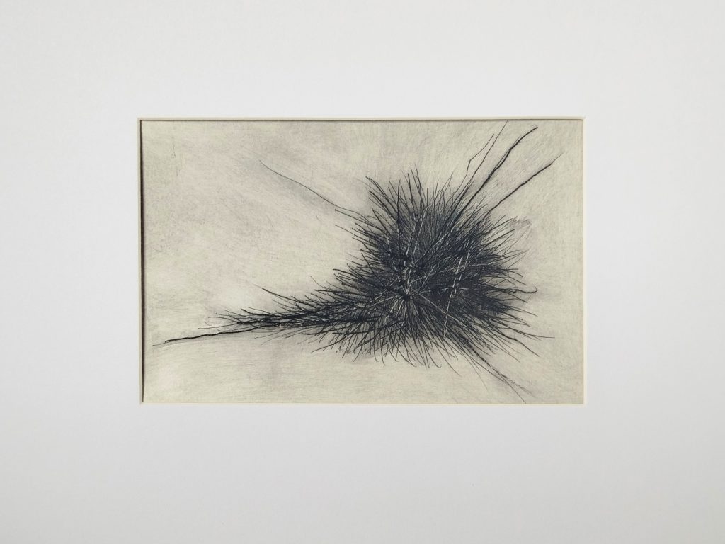 Formkerne, Serie experimenteller Kaltnadelarbeiten von Bettina Zimmermann mit verdichteten schwarzen Linienfeldern auf hellem Grund.