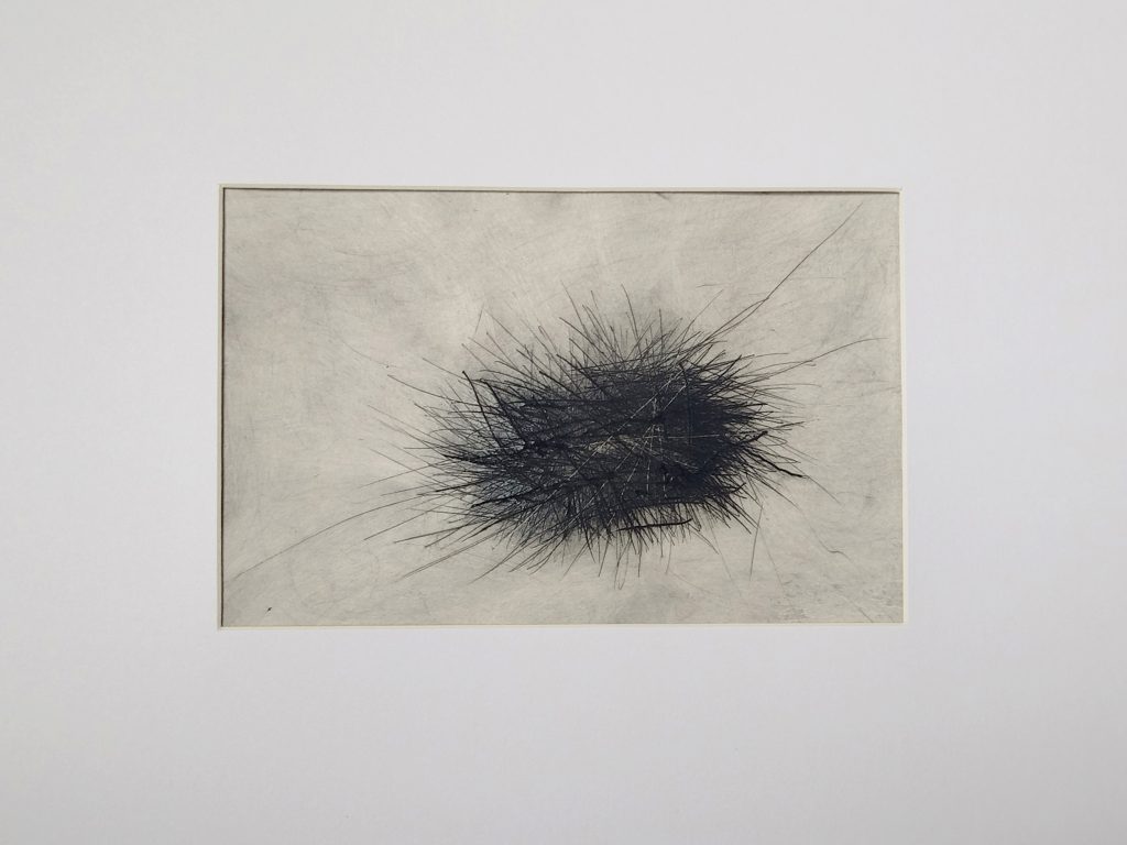 Formkerne, Serie experimenteller Kaltnadelarbeiten von Bettina Zimmermann mit verdichteten schwarzen Linienfeldern auf hellem Grund.