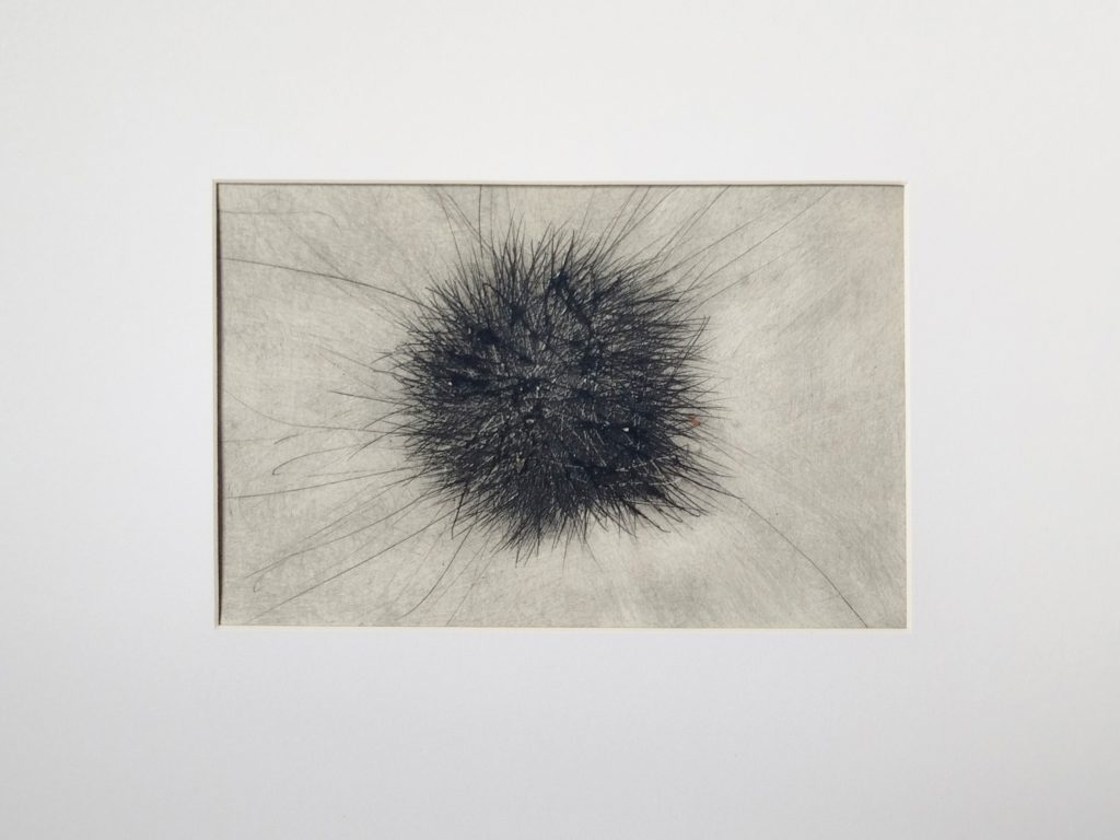 Formkerne, Serie experimenteller Kaltnadelarbeiten von Bettina Zimmermann mit verdichteten schwarzen Linienfeldern auf hellem Grund.