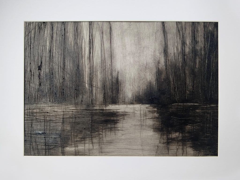 Raumlandschaften, experimentelle Kaltnadelarbeit von Bettina Zimmermann mit Wasserfläche, vertikalen Linien und räumlicher Tiefe.