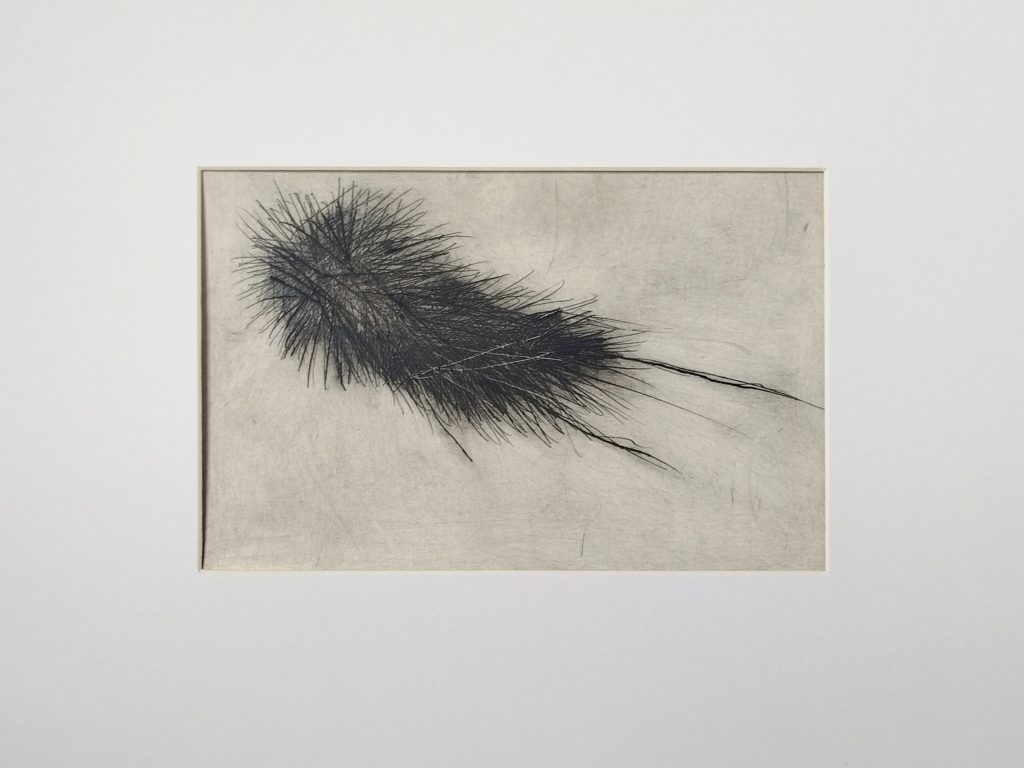 Kaltnadelverfahren auf PE-beschichtetem Abdeckpapier mit Druckfarbe von Bettina Zimmermann. Experimentelle Druckgrafik mit verdichteter Linienstruktur und organischer Form.