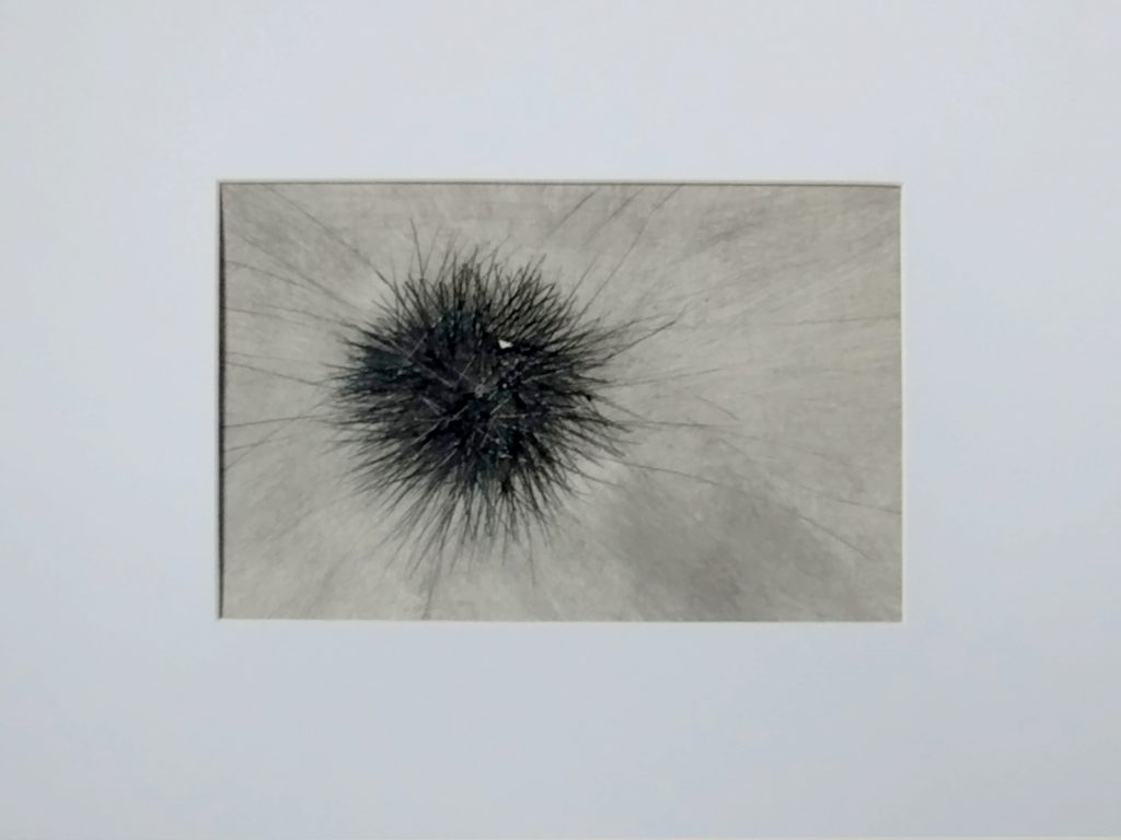 Formkern 1, Kaltnadelverfahren auf PE-beschichtetem Abdeckpapier mit Druckfarbe von Bettina Zimmermann. Experimentelle Druckgrafik mit verdichteter Linienstruktur und organischer Form.