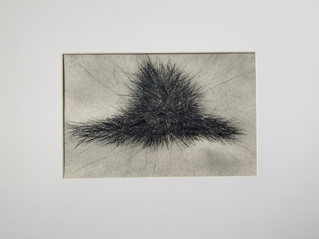Kaltnadelverfahren auf PE-beschichtetem Abdeckpapier mit Druckfarbe von Bettina Zimmermann. Experimentelle Druckgrafik mit verdichteter Linienstruktur und organischer Form.