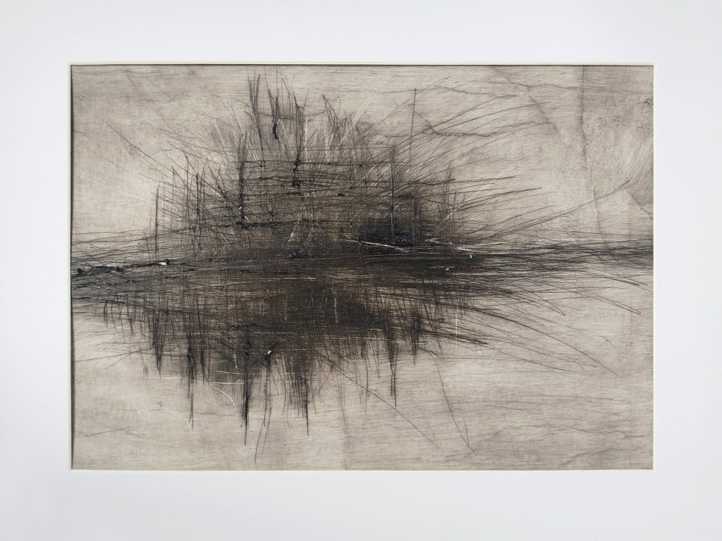 Verdichtete Landschaften 5, Kaltnadelverfahren auf PE-beschichtetem Abdeckpapier mit Druckfarbe von Bettina Zimmermann. Experimentelle Druckgrafik mit Waldstruktur, Spiegelungen und Linienverdichtungen.